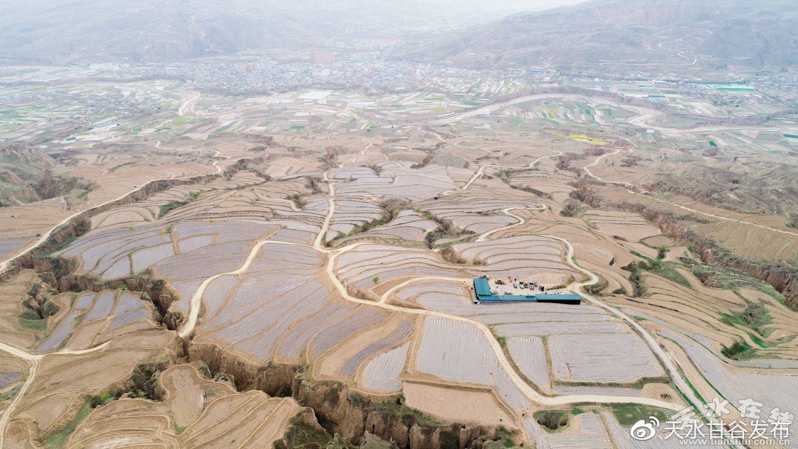 qq会员永久业务网站