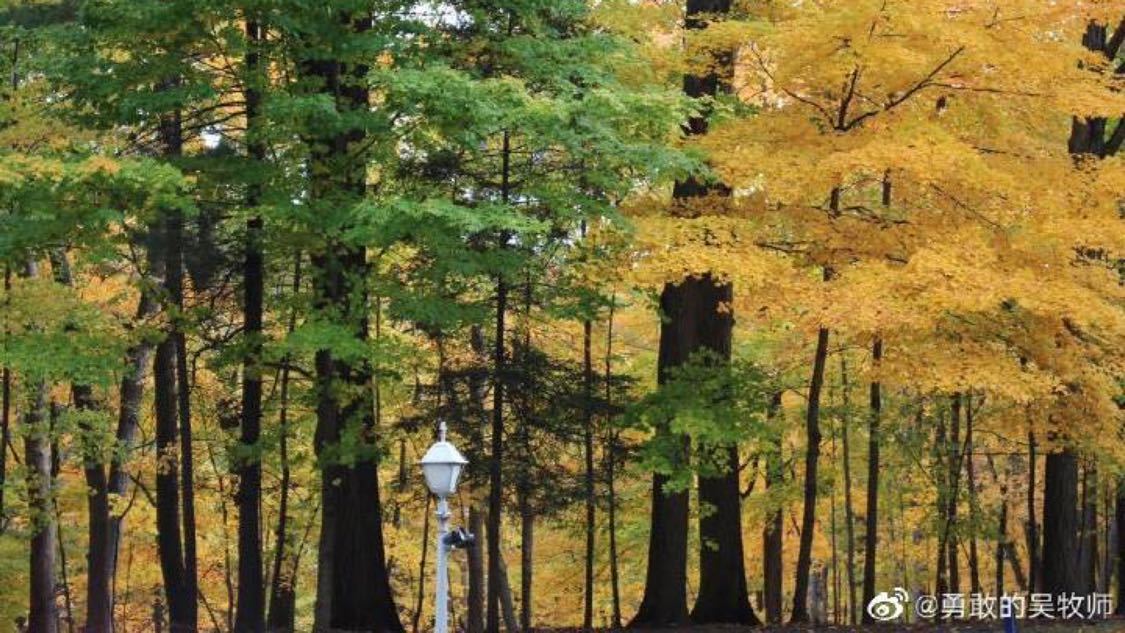 24小时自助下单商城